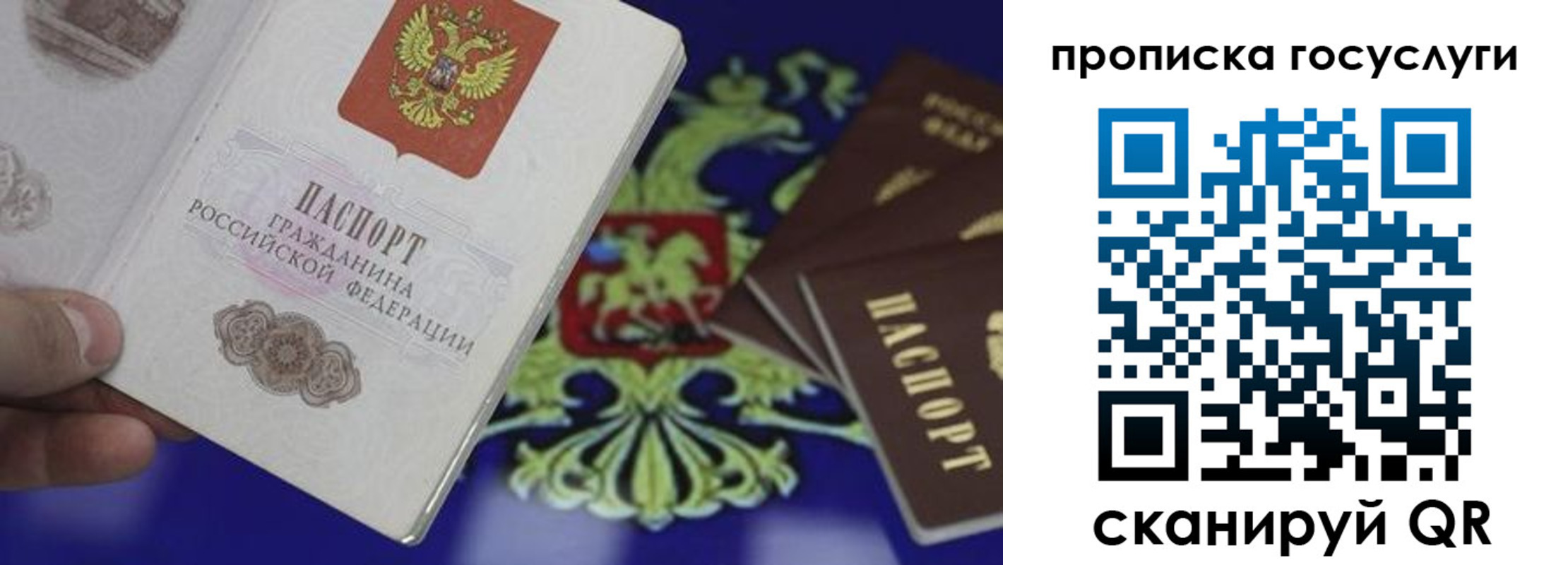 прописка для школы в Старой Руссе